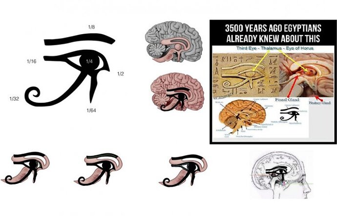 blog_the-pineal-gland-the-eye-of-horus