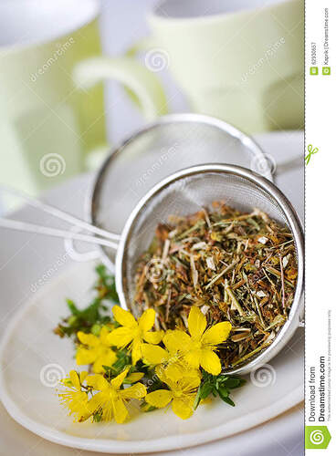 common-st-john-s-wort-tea-hypericum-perforatum-natural-antidepressants-healing-yellow-flowers-leaves-62930657.jpg