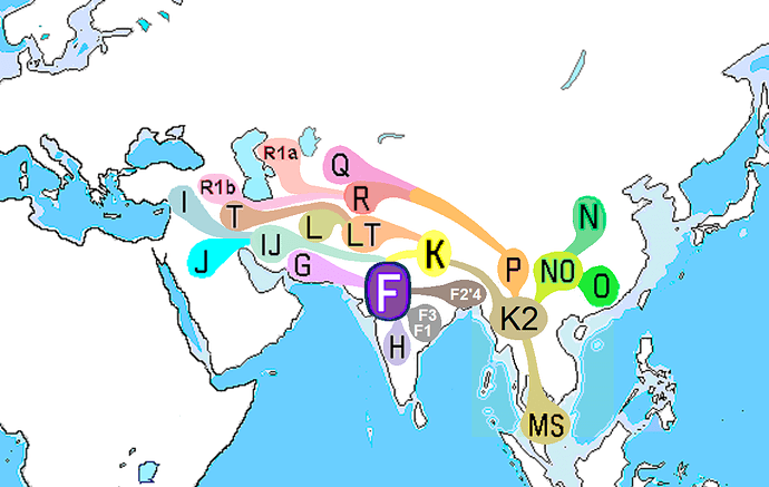 Haplogroup_F_(Y-DNA)