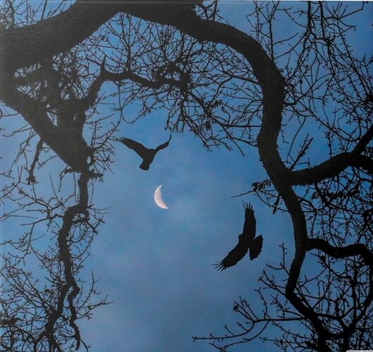 Oak Moon Birds.jpg