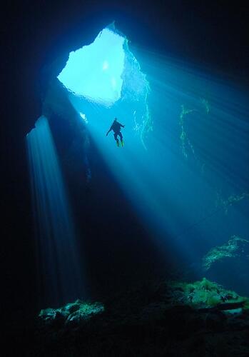 diving into the deep.jpg