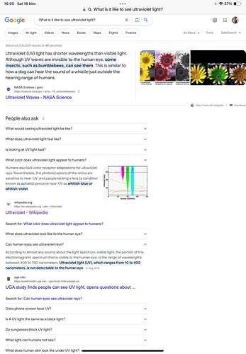 IMG_1462.png