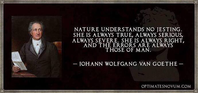 Quote - Goethe, Johann Wolfgang von (1).jpg