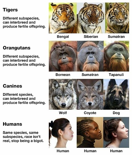 Graph - Species Phenotypes