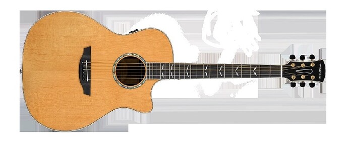 Orangewood Acoustic Guitar.jpg