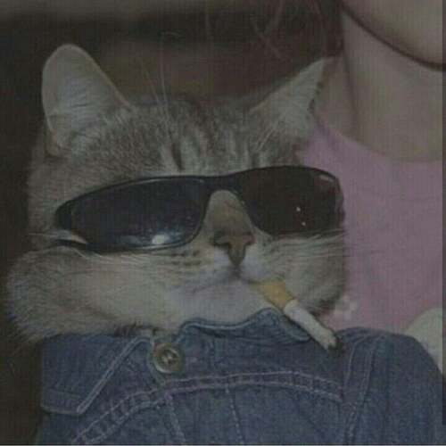 1000021103