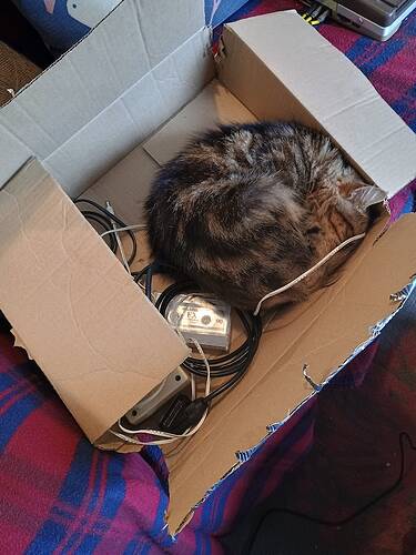 catbox