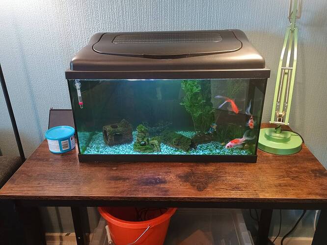 biggertank