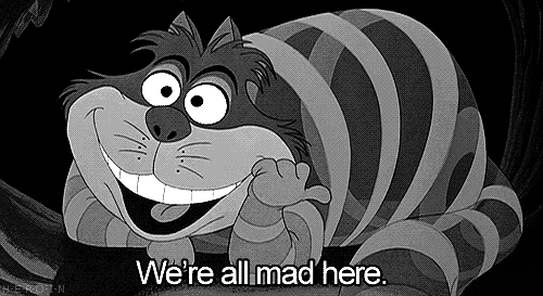 we're all mad here.gif