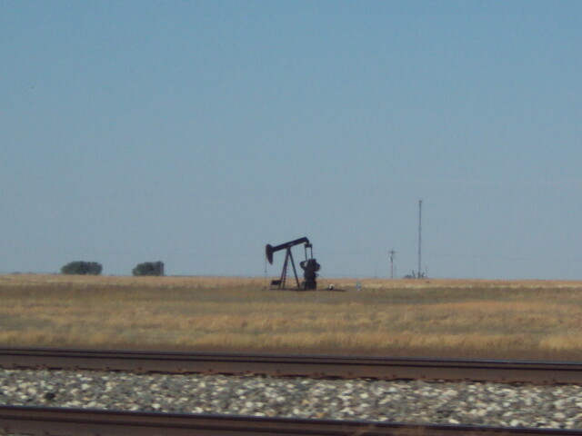 DSC01303.JPG