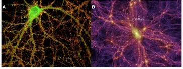 universe vs brain