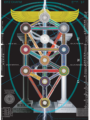 300px-Tree_of_life.jpg