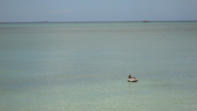 DSC01111 - Copy.JPG