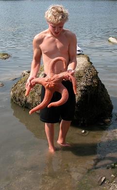 Sea%20Star.jpg