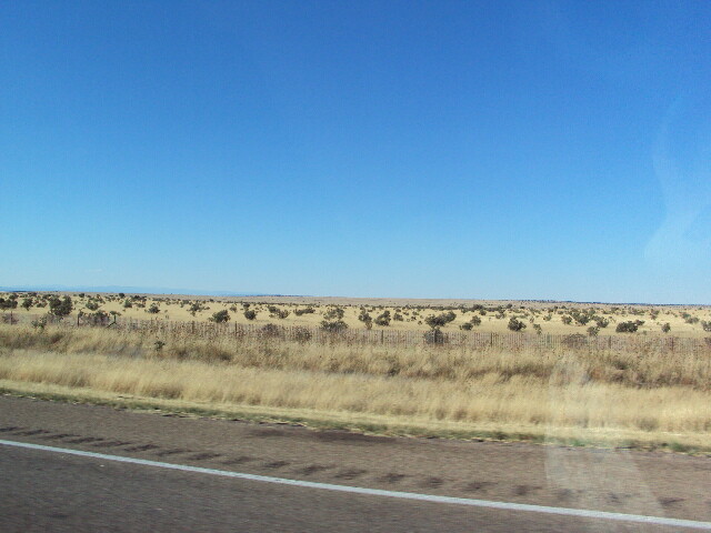 DSC01339.JPG