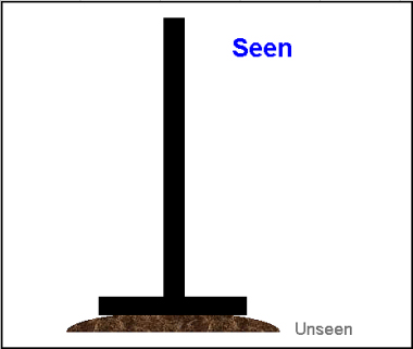 RM Seen.jpg