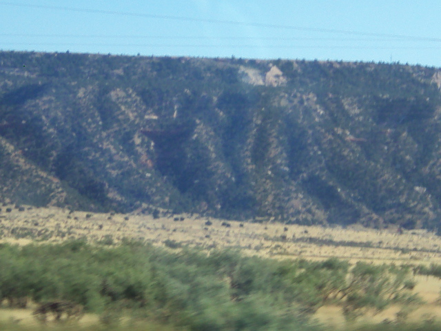 DSC01333.JPG