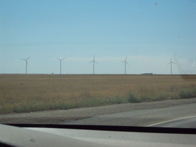 DSC01310.JPG