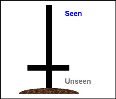 Science Seen.jpg