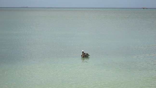 DSC01112 - Copy.JPG