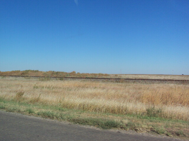 DSC01294.JPG