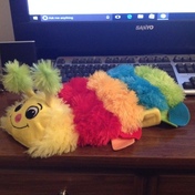 Cottons caterpillar.jpg