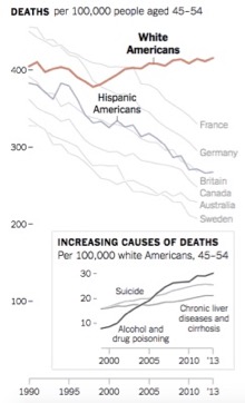 Mortality Rates.jpg