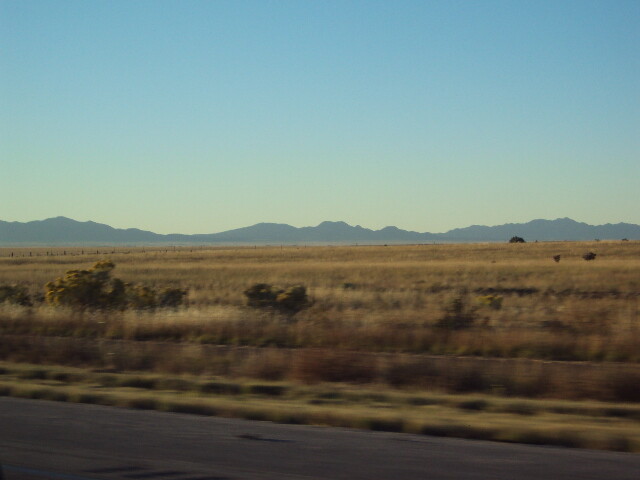 DSC01354.JPG