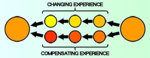 compensating experience change