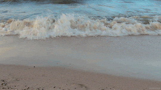 tide